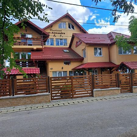 Pensiunea Casa Alexandra Vatra Dornei Exterior foto