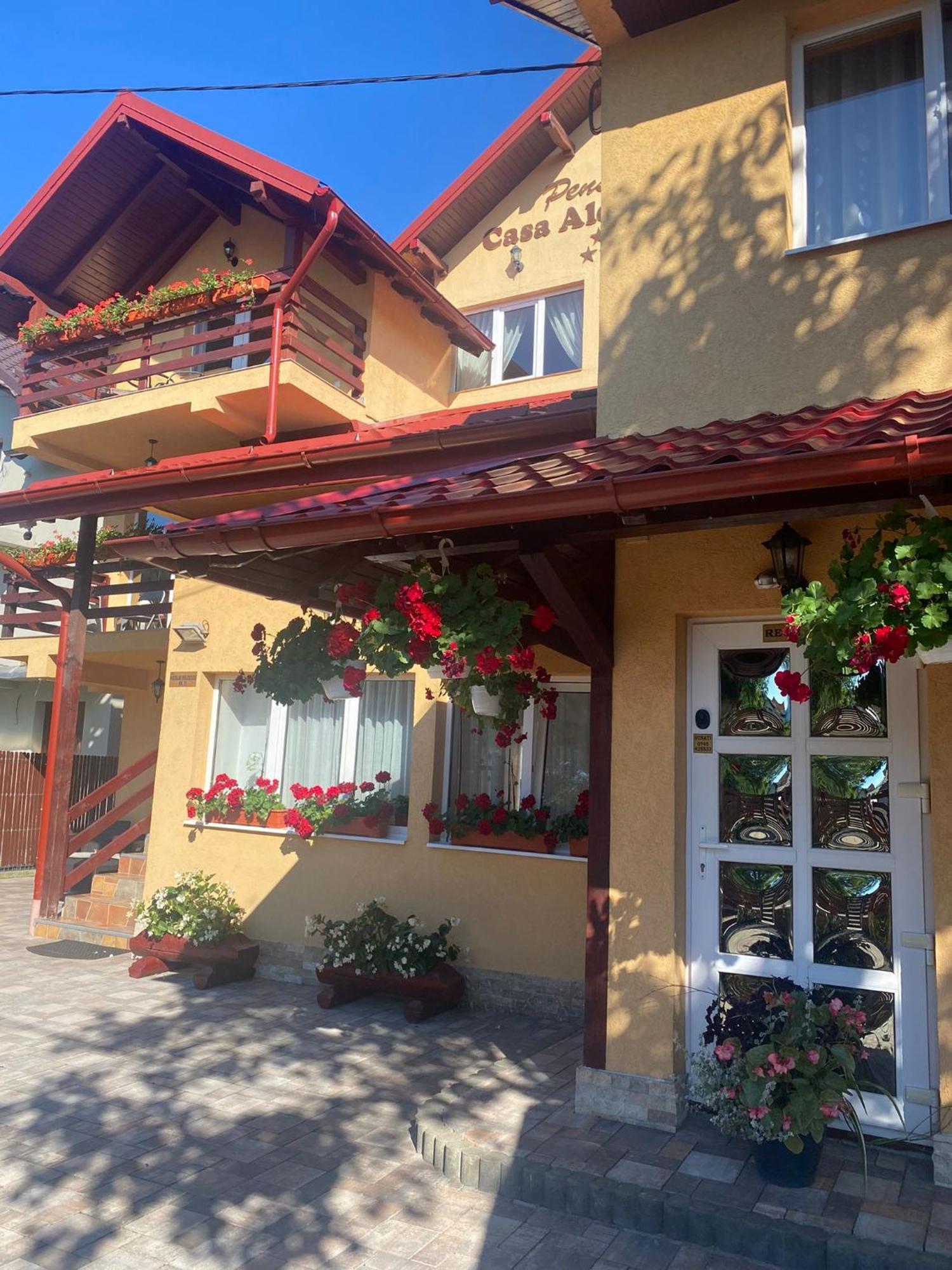 Pensiunea Casa Alexandra Vatra Dornei Exterior foto