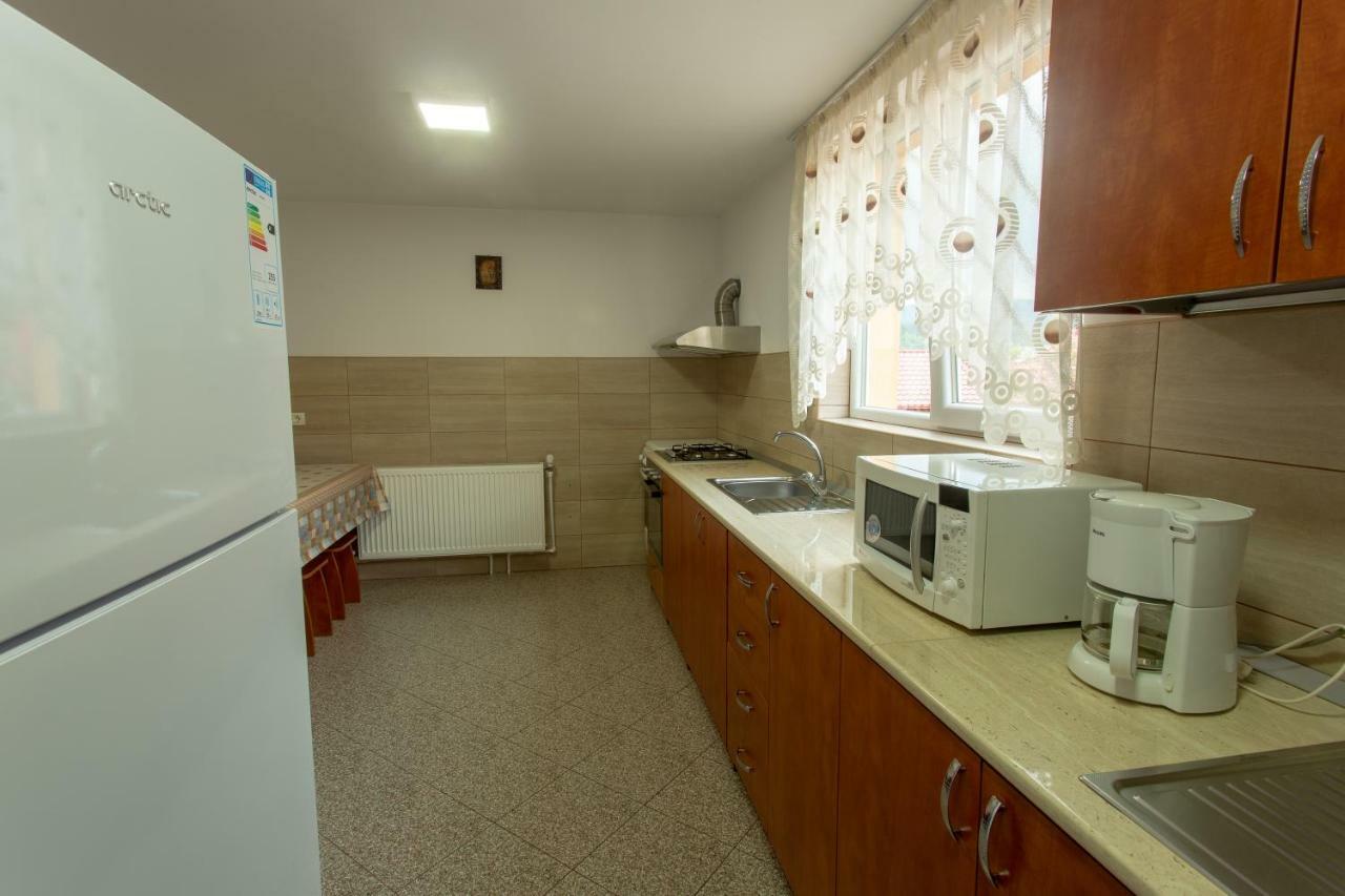 Pensiunea Casa Alexandra Vatra Dornei Exterior foto
